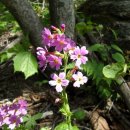 황골탐방지원센터 이미지