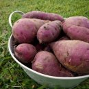 개울농장 이미지