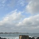 한경면 청수물마을 | 제주 서쪽 한경면 브런치 카페 맛집 ‘수리코 Surico’