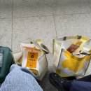 강촌로1 | 🌲 서울시립대학교 강촌수련원 후기 : 픽업부터 글램핑까지