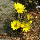 송백1리 이미지