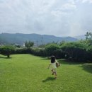 도화 민박 | 내돈내산 가족형숙소 도화민박