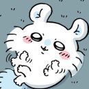 모몽가 이미지