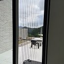 공때려 | 헉, 벌레 재침공 경보?! 논산미세방충망 찐 후기