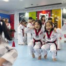 반송월드태권도 이미지