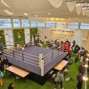 BLSO 복싱 아카데미 이미지