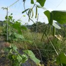 구월농장 이미지