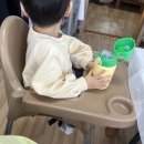 저녁노을 | 충남 태안 마검포저녁노을횟집 게국지 내돈내산 먹방 후기