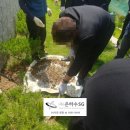 새금산병원 이미지