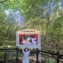 솔잎반) 유나 에버랜드 GoGo~ ദ്ദി・ᴗ・)✧ 이미지