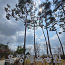 희망체육공원 족구장 | 양주 옥정체육공원 방문 후기: 농구장, 축구장, 러닝 트랙 이용 꿀팁 및 주차 정보