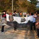 안동자연색문화원 이미지