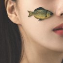 파인드유어플러스 이미지
