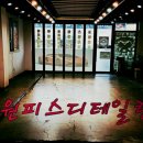 샤인닥터스 이미지