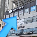 애견콜 | 대구 강아지유치원추천 침산동 댕스미스 애견유치원 등원후기