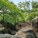 삼장사 - 1373 | 삼장사