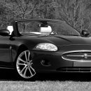 내차처럼 이미지