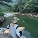 솔밭펜션 캠핑장 | 충청권 계곡 캠핑장 추천｜괴산 쌍곡계곡 솔밭캠프 2박 3일 후기 (평상·당일치기 가능)