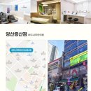 나무한의원 이미지
