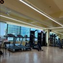 메디팜상록약국 이미지