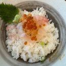 (서울) 방이동 카이센동 초밥맛집 비스트로 방이 내돈내산 후기