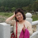 래화 Daum카페