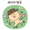 선택적고립캠핑장 이미지