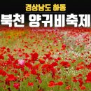 북천시장 | 경남 하동 북천 양귀비축제 가볼만한곳