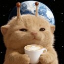 댕댕댕 | 논현역 4번출구 커피맛집 *댕크커피 댕댕댕 🐶 나만 알구 싶은 힙카페 ⋅˚₊‧ ୨୧ ‧₊˚ ⋅