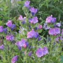 저녁나절 이미지