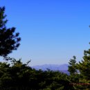 장동초교 이미지