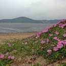 고귀 이미지