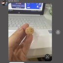 은진안감