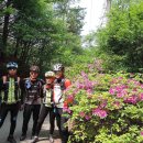 삼국집 - 미추홀구 | 삼국집