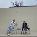 호화로이 이미지