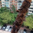 서부수도사업소 이미지