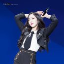 버디버디 이미지