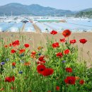 의령남강 이미지