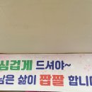 1월 일상을 모아모아 한방에!
