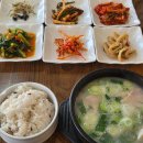 부여종합운동장 잔디구장 | 롯데팬이 처음으로 수원삼성 vs 김해FC K리그2 보러 김해종합운동장 가기