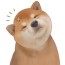 산청동물의료센터 이미지