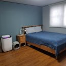 연동랜드 이미지