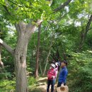 호랑산 둘레길 | 보물 창고 흥국사 가는 길