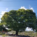 치산123민박 이미지