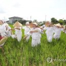 용전마을 입구 이미지