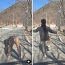 동선태극권 이미지
