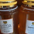 사랑담은꿀