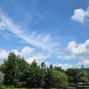이솝국어학원 | 밀크티초등, 여름방학 알차게 매일 탄탄 학습