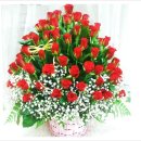 태양카세차장 이미지