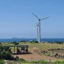 웰컴투제주